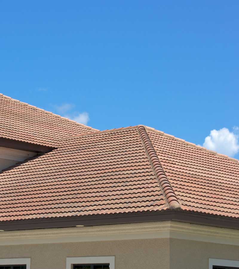 Shingles florida Shingles florida