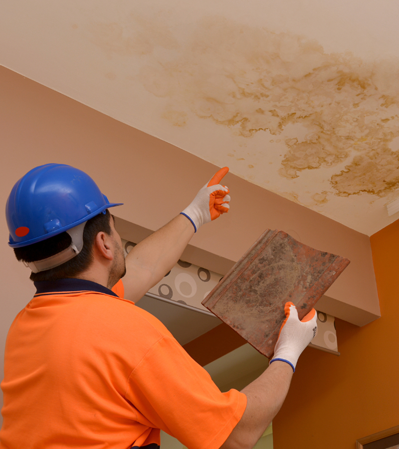 Signs You Have Roof Damage